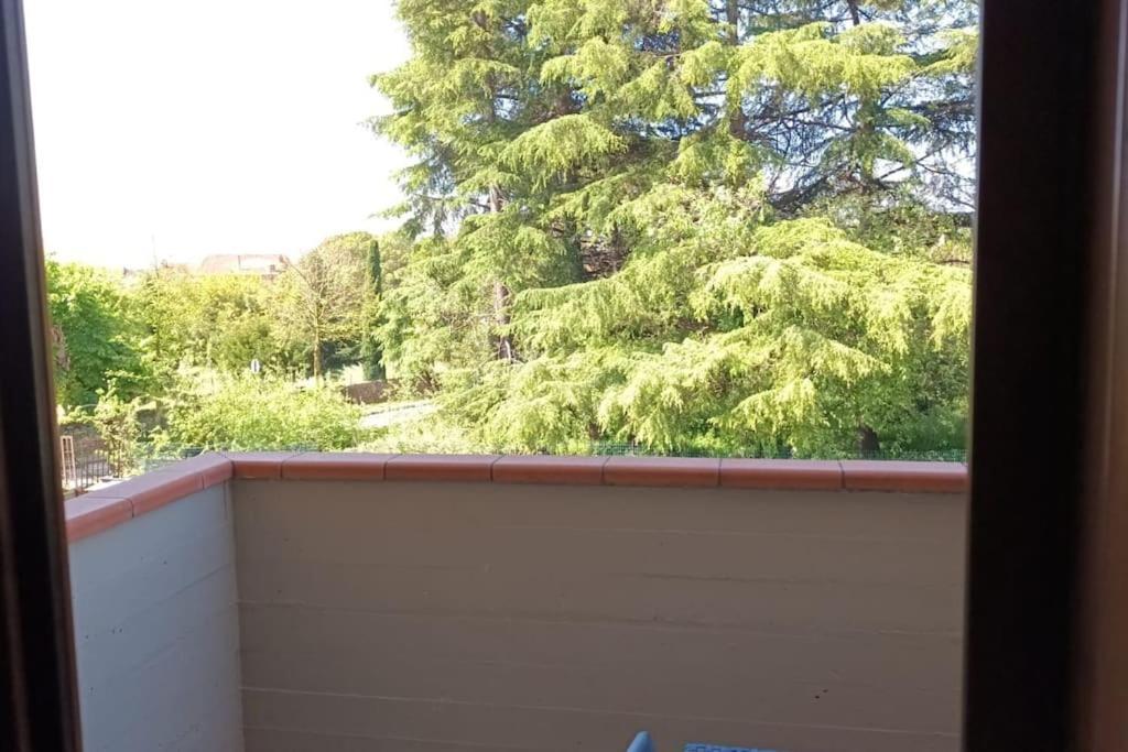 Appartamento Bicamere Monsummano Terme Dış mekan fotoğraf